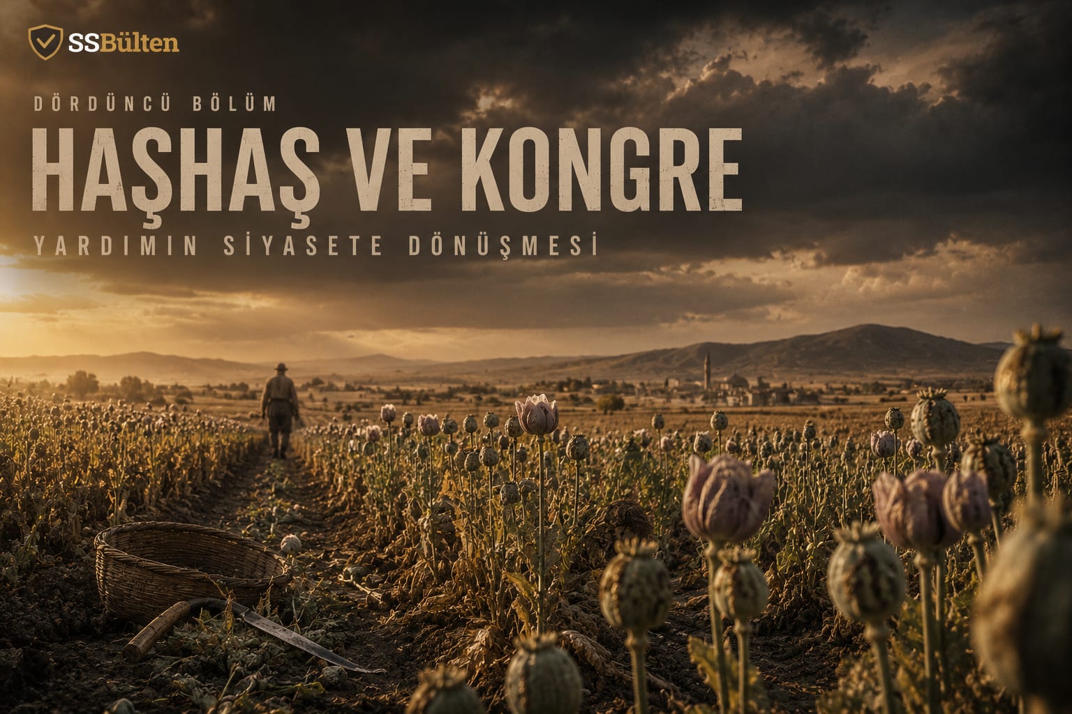 Haşhaş ve Kongre: yardımın siyasete dönüşmesi