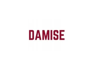 Damıse Bilişim Hizmetleri Anonim Şirketi logosu