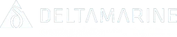 Delta Denizcilik Müh. Ve Bilg. San. Ve Tic. A.Ş. logosu