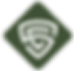 Gürbag Savunma Ve Teknolojı Sanayı Tic. A.Ş. logosu