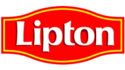 Icron Teknoloji Bilişim A.Ş. logosu