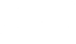 NERO Endüstri Savunma Sanayi A.Ş. logosu