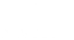 Pavelsis Aviyonik Teknoloji Üretim Tic. A.Ş. logosu