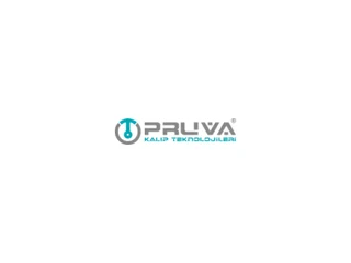 Pruva Kalıp Sistemleri San. Ve Tic. A.Ş. logosu