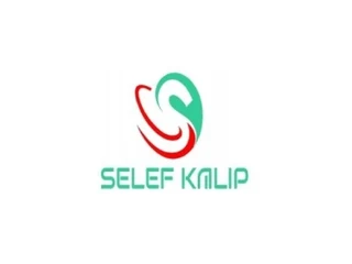 Selef Kalıp Aparat San. Ve Tic. Ltd. Şti. logosu